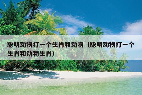 聪明动物打一个生肖和动物（聪明动物打一个生肖和动物生肖）