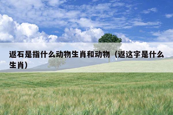 返石是指什么动物生肖和动物（返这字是什么生肖）