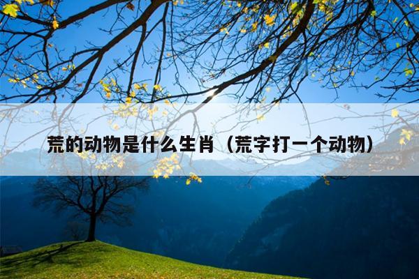 荒的动物是什么生肖（荒字打一个动物）