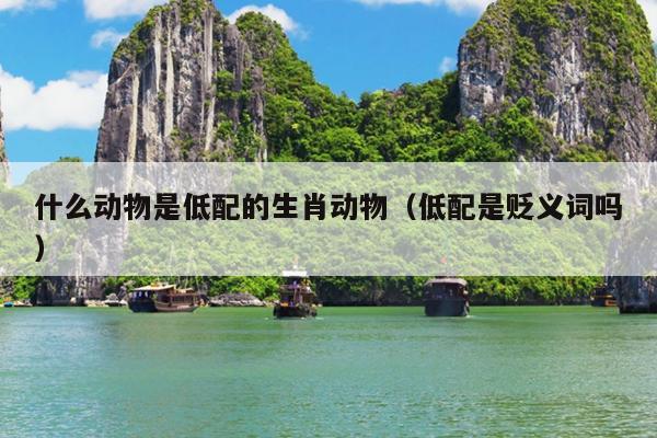 什么动物是低配的生肖动物（低配是贬义词吗）