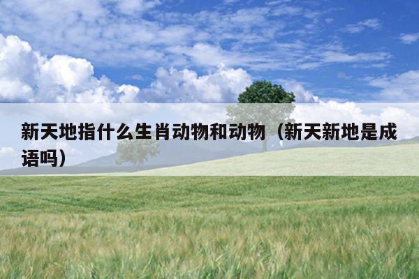 新天地指什么生肖动物和动物（新天新地是成语吗）