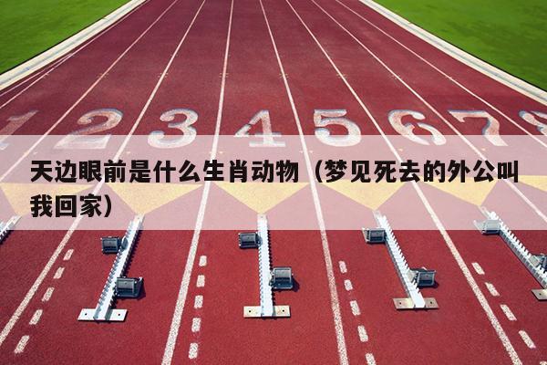 天边眼前是什么生肖动物（梦见死去的外公叫我回家）
