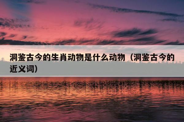 洞鉴古今的生肖动物是什么动物（洞鉴古今的近义词）