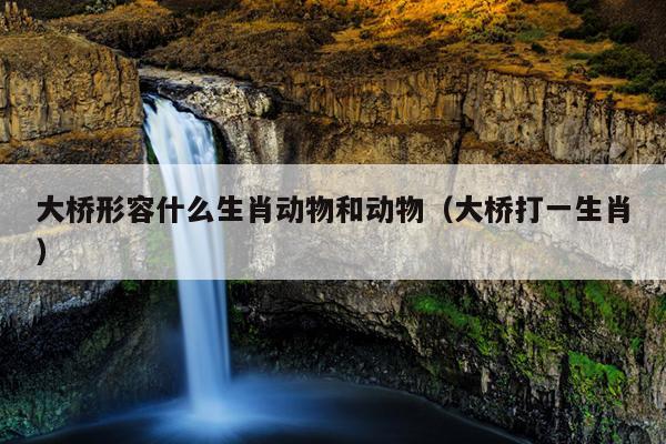大桥形容什么生肖动物和动物（大桥打一生肖）