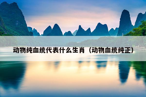 动物纯血统代表什么生肖（动物血统纯正）