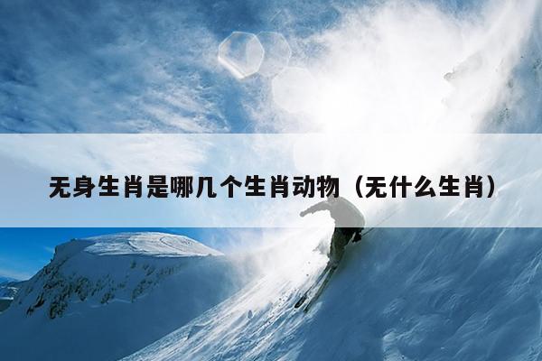 无身生肖是哪几个生肖动物（无什么生肖）