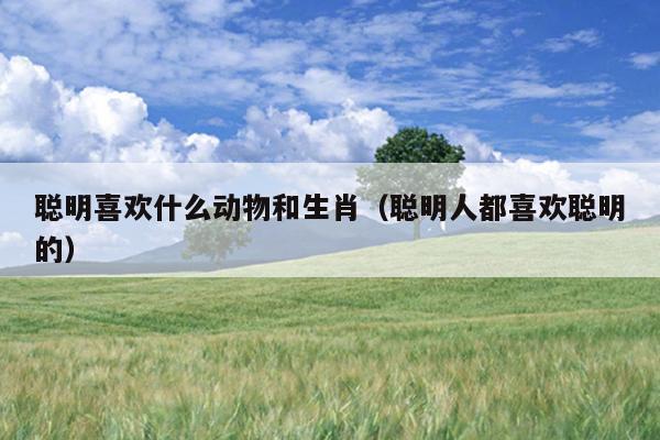 聪明喜欢什么动物和生肖（聪明人都喜欢聪明的）