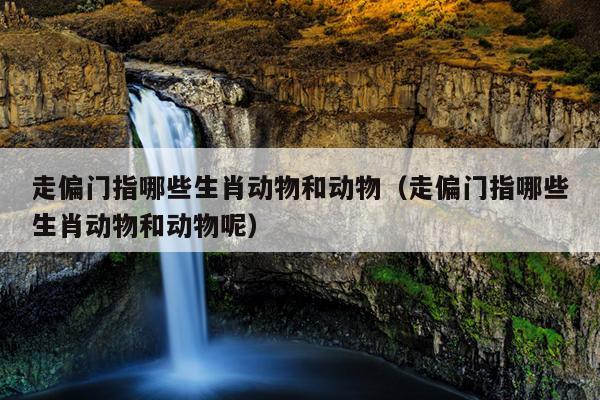 走偏门指哪些生肖动物和动物（走偏门指哪些生肖动物和动物呢）
