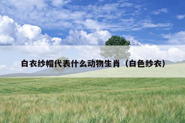 白衣纱帽代表什么动物生肖（白色纱衣）