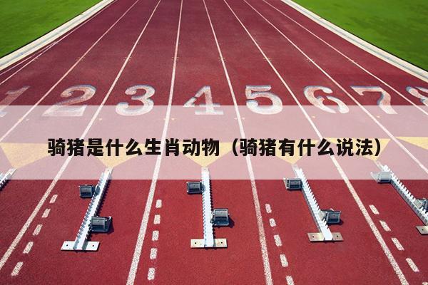 骑猪是什么生肖动物（骑猪有什么说法）