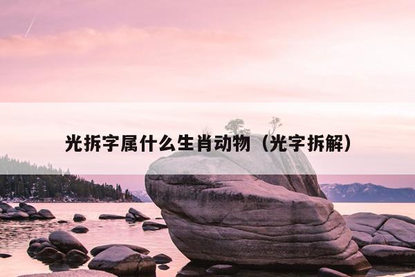 光拆字属什么生肖动物（光字拆解）
