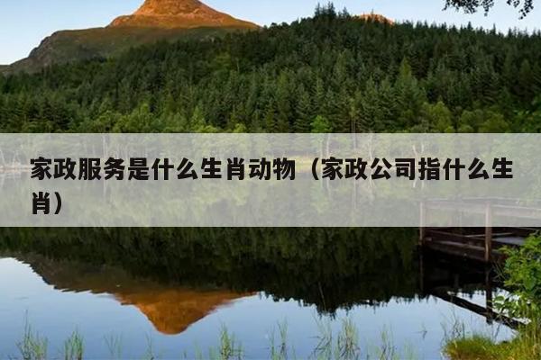 家政服务是什么生肖动物（家政公司指什么生肖）