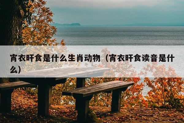 宵衣旰食是什么生肖动物（宵衣旰食读音是什么）