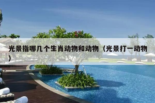 光景指哪几个生肖动物和动物（光景打一动物）