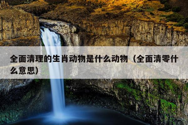 全面清理的生肖动物是什么动物（全面清零什么意思）
