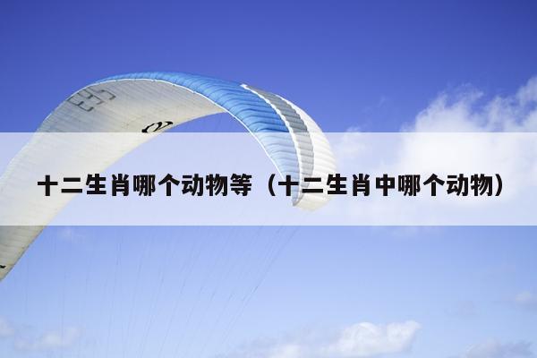 十二生肖哪个动物等（十二生肖中哪个动物）