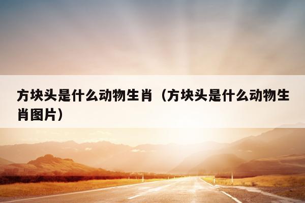 方块头是什么动物生肖（方块头是什么动物生肖图片）