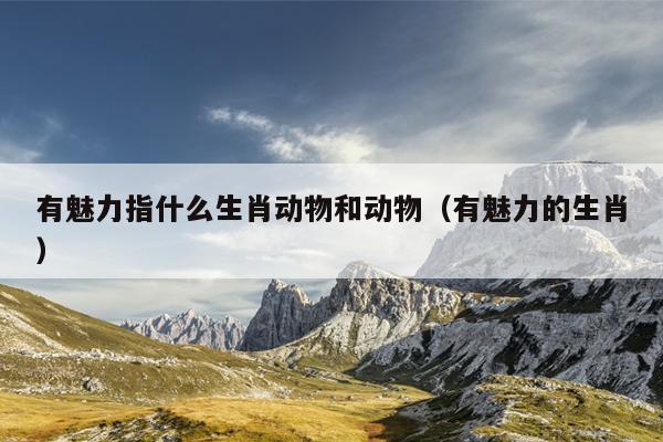 有魅力指什么生肖动物和动物（有魅力的生肖）