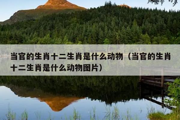 当官的生肖十二生肖是什么动物（当官的生肖十二生肖是什么动物图片）