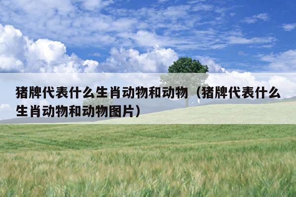 猪牌代表什么生肖动物和动物（猪牌代表什么生肖动物和动物图片）