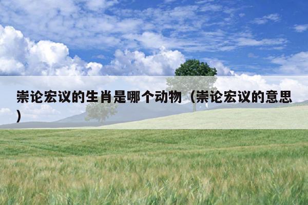 崇论宏议的生肖是哪个动物（崇论宏议的意思）