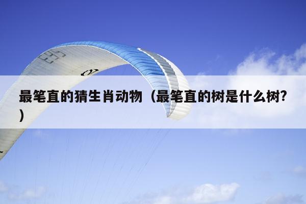 最笔直的猜生肖动物（最笔直的树是什么树?）