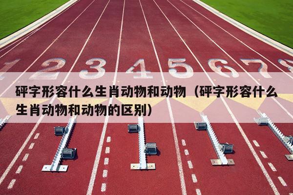 砰字形容什么生肖动物和动物（砰字形容什么生肖动物和动物的区别）