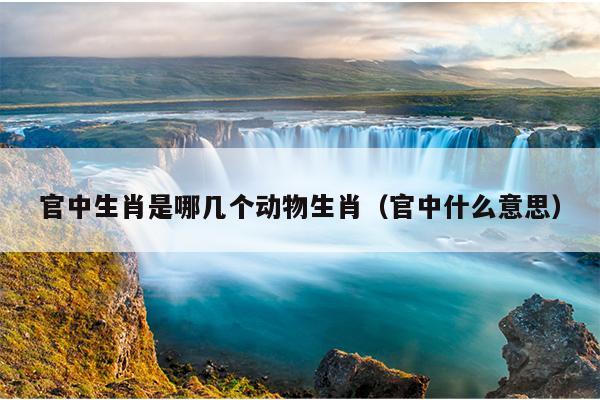 官中生肖是哪几个动物生肖（官中什么意思）