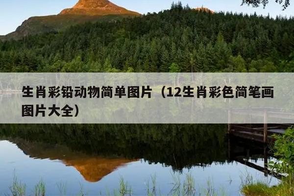 生肖彩铅动物简单图片（12生肖彩色简笔画图片大全）