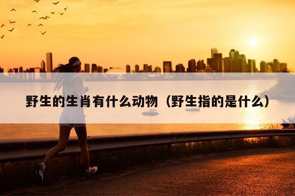 野生的生肖有什么动物（野生指的是什么）