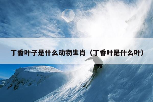 丁香叶子是什么动物生肖（丁香叶是什么叶）