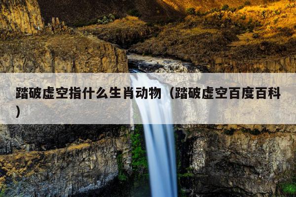 踏破虚空指什么生肖动物（踏破虚空百度百科）