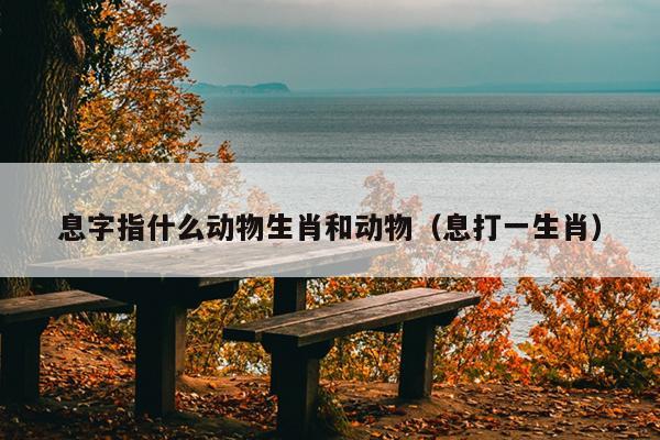 息字指什么动物生肖和动物（息打一生肖）