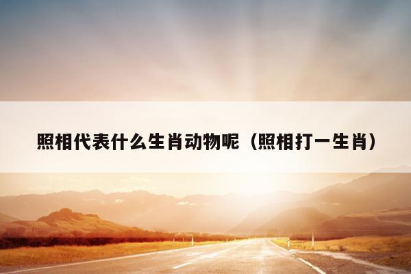 照相代表什么生肖动物呢（照相打一生肖）