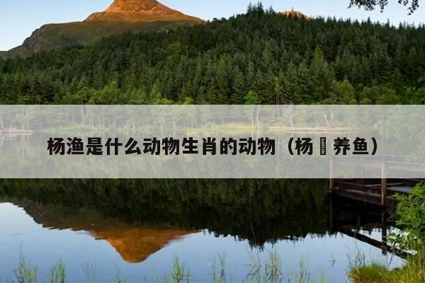 杨渔是什么动物生肖的动物（杨玏养鱼）