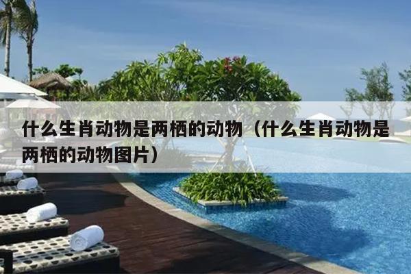 什么生肖动物是两栖的动物（什么生肖动物是两栖的动物图片）