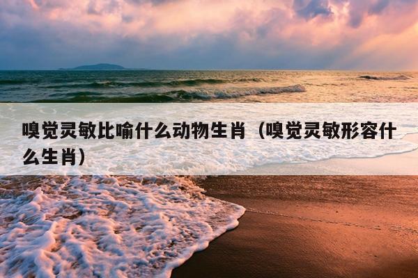 嗅觉灵敏比喻什么动物生肖（嗅觉灵敏形容什么生肖）