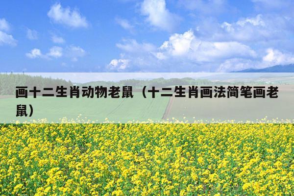 画十二生肖动物老鼠（十二生肖画法简笔画老鼠）