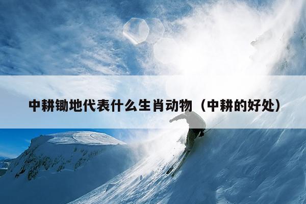 中耕锄地代表什么生肖动物（中耕的好处）
