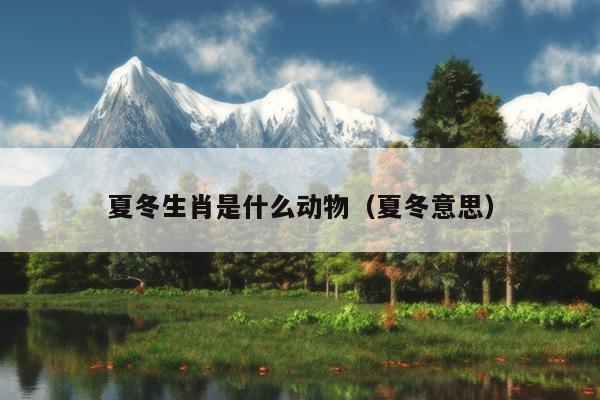 夏冬生肖是什么动物（夏冬意思）