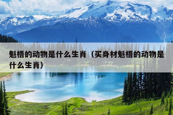 魁梧的动物是什么生肖（买身材魁梧的动物是什么生肖）