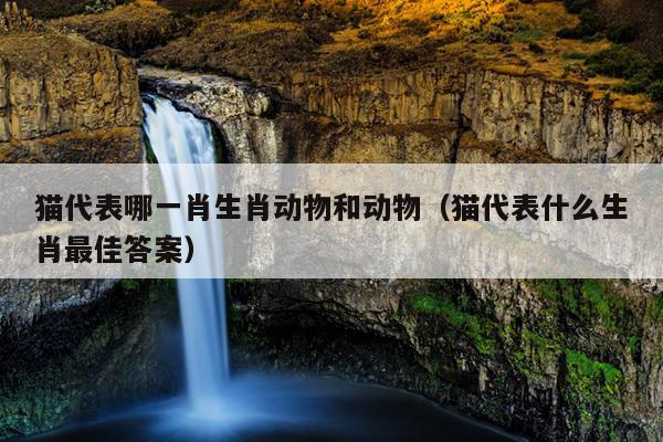 猫代表哪一肖生肖动物和动物（猫代表什么生肖最佳答案）