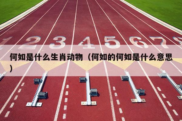 何如是什么生肖动物（何如的何如是什么意思）