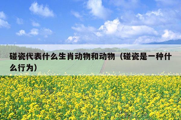 碰瓷代表什么生肖动物和动物（碰瓷是一种什么行为）