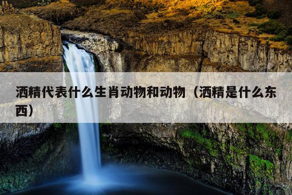 洒精代表什么生肖动物和动物（洒精是什么东西）