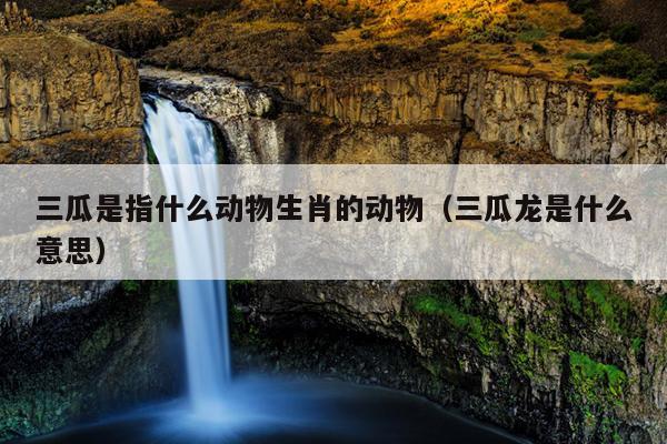 三瓜是指什么动物生肖的动物（三瓜龙是什么意思）