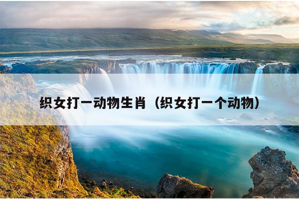 织女打一动物生肖（织女打一个动物）
