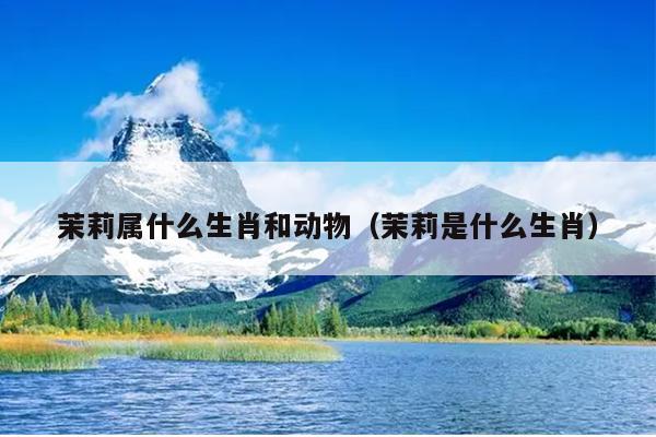 茉莉属什么生肖和动物（茉莉是什么生肖）
