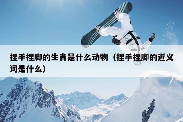 捏手捏脚的生肖是什么动物（捏手捏脚的近义词是什么）