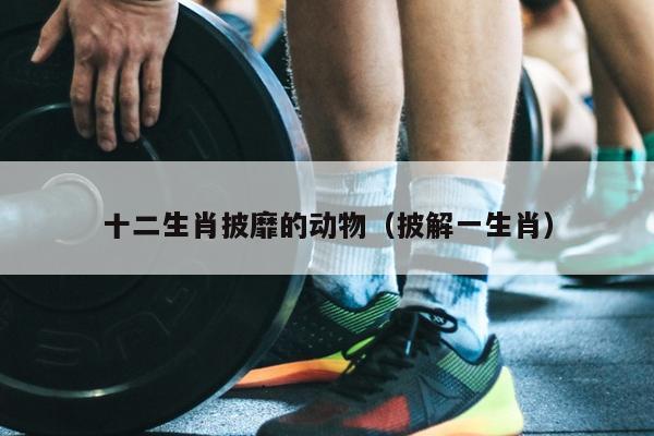 十二生肖披靡的动物（披解一生肖）